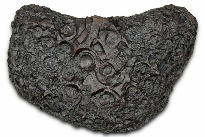 Dragon Scale Stone (Iron, Manganese, Siderite Nodule) #330330